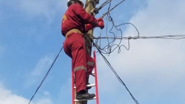 Electricity Distribution Maintenance Man