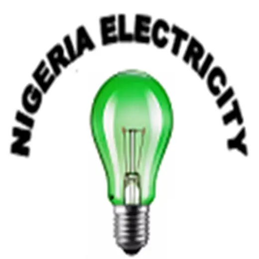 You and Nigeria Electricity